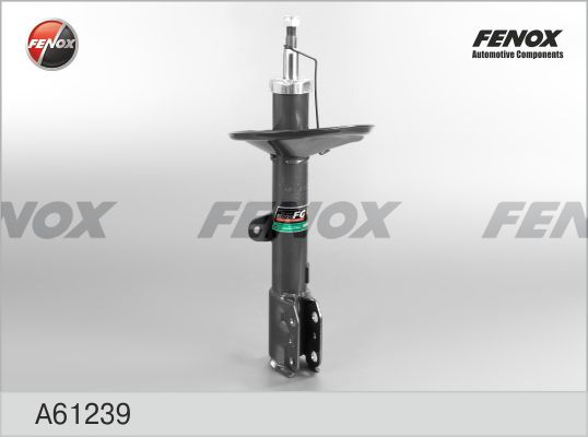 A61239-fenox20200211-13575-eqnyow_original