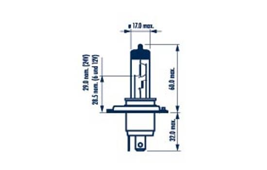 48889-narva20200302-19460-6c6v16_original