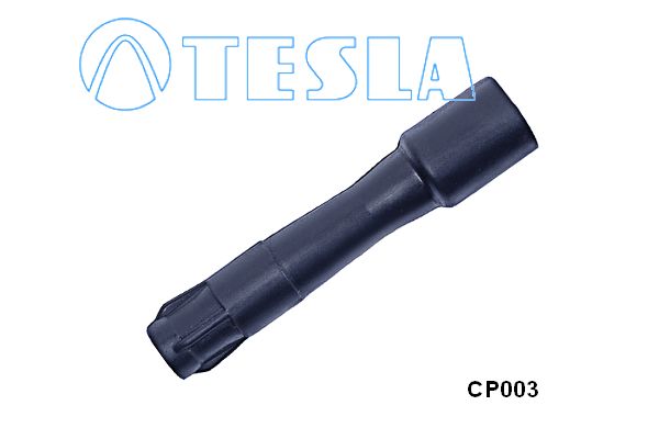 Cp003-tesla20190910-3027-1thazvj_original