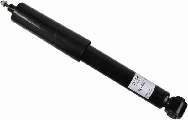 313756-sachs20200226-14760-1htakl2_original