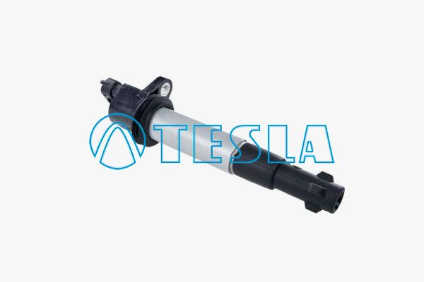 Cl800-tesla20200229-23120-marqmh_original