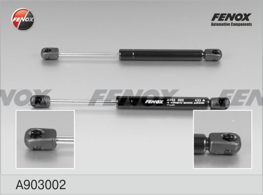 A903002-fenox20200211-13575-3i4wxt_original