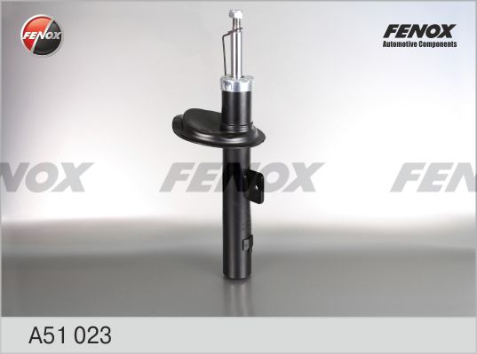 A51023-fenox20200229-23120-1ydplzi_original