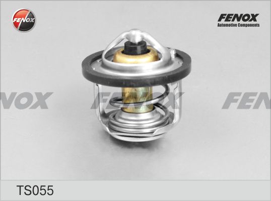 Ts055-fenox20200130-11548-qea9z9_original