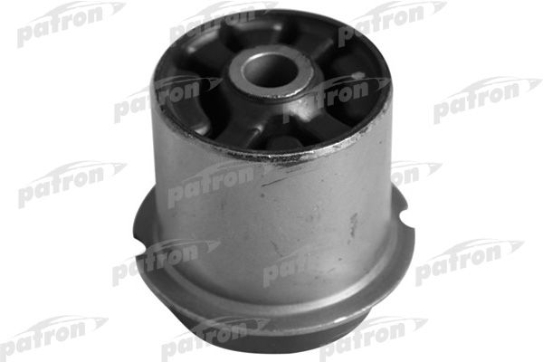 Pse10159-patron20200204-8384-fh1mvo_original