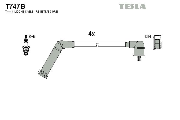 T747b-tesla20200201-8384-u4fkpn_original