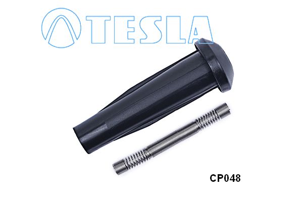 Cp048-tesla20200226-14760-1edus29_original