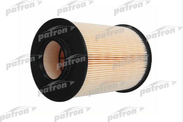 Pf1300-patron20200213-13575-ec872v_original