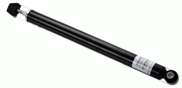 313419-sachs20200225-14760-1v56n7s_original