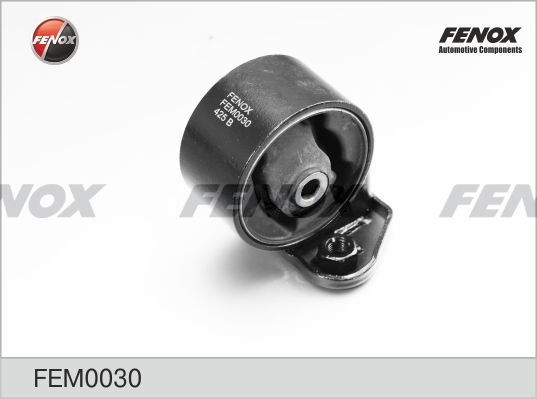 Fem0030-fenox20200217-10364-1ypm4r9_original