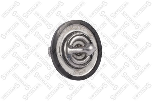 2340008sx-stellox20200225-14760-1551hz_original