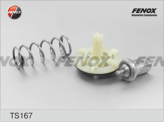 Ts167-fenox20200214-32297-qxw3r9_original