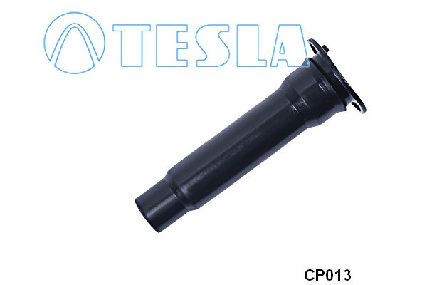 Cp013-tesla20200211-13575-9ye60_original