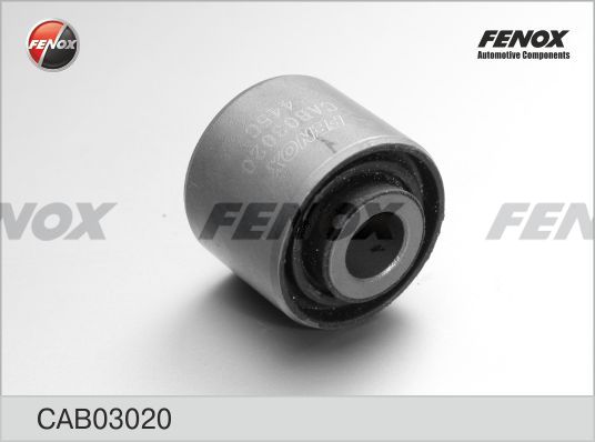Cab03020-fenox20200302-19460-u3a7w9_original