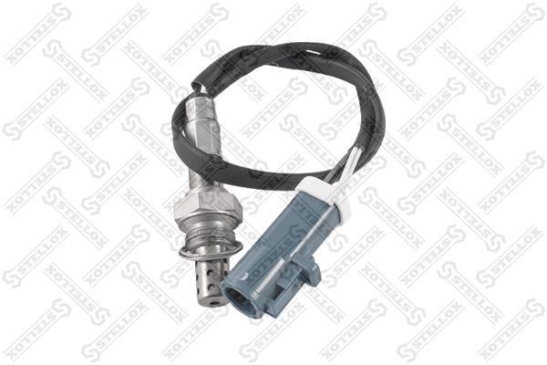 2000030sx-stellox20200217-10364-rsqxj2_original