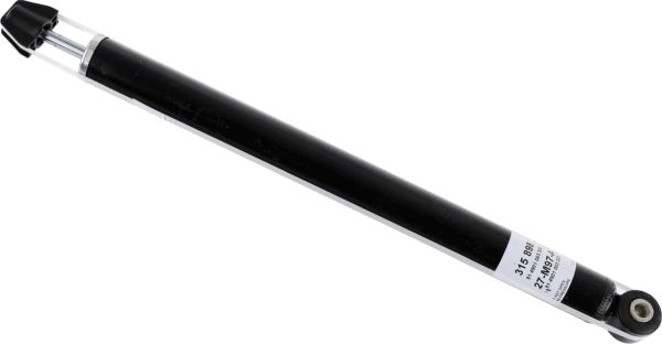 315898-sachs20200224-14760-1p1iksa_original
