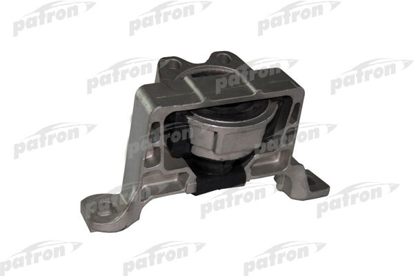 Pse3584-patron20200218-27360-l28u69_original