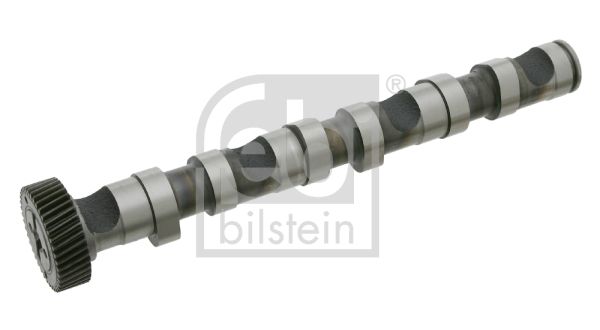 27768-febi20200129-11548-ezc2v9_original