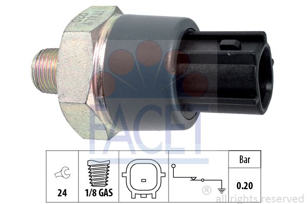 70166-facet20200303-19460-lsrc85_original