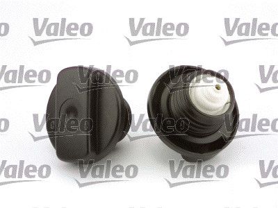 745378-valeo20200229-23120-9huj94_original