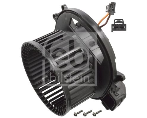 107391-febi20200302-19460-3l139l_original