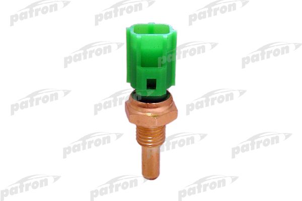 Pe13167-patron20200130-11548-zfo1cr_original
