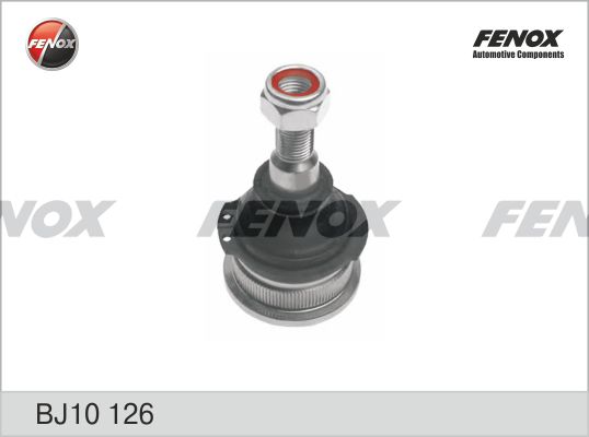 Bj10126-fenox20200204-8384-1dg8iid_original