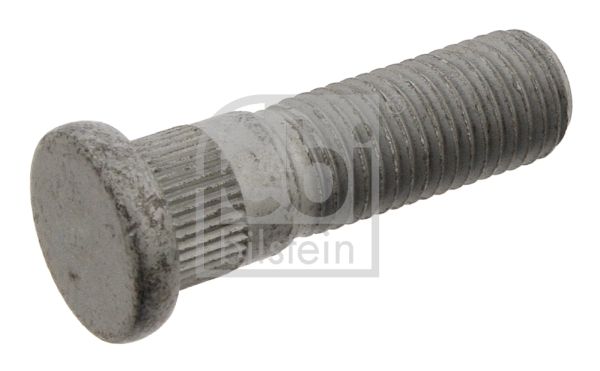 32307-febi20200301-28712-1nknt6c_original