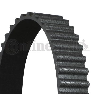 Ct1151-continental20190902-9829-zshgnw_original