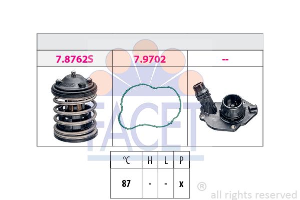 78751-facet20200302-19460-b6v93i_original