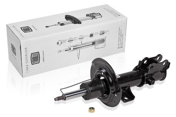 Ag08394-trialli20200130-11548-dwx4r6_original