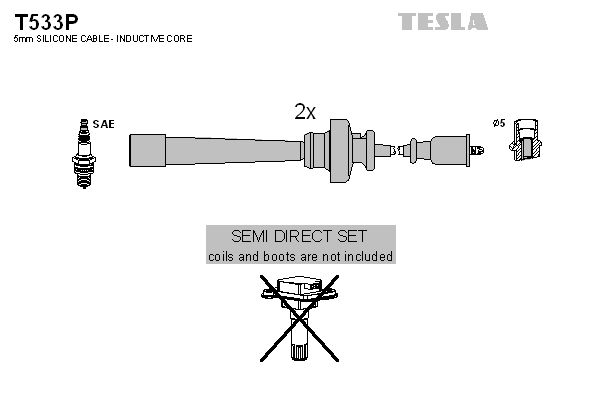 T533p-tesla20190925-10285-1543pgl_original