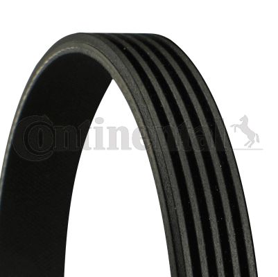 5pk1885-continental20190925-2735-m537zd_original