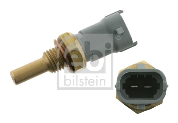 28381-febi20200130-11548-1ybgbut_original