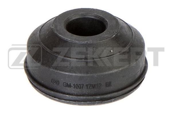 Gm1007-zekkert20200302-19460-12mq6ek_original