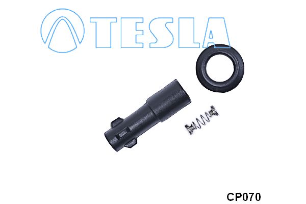 Cp070-tesla20200213-13575-1cwvoo0_original