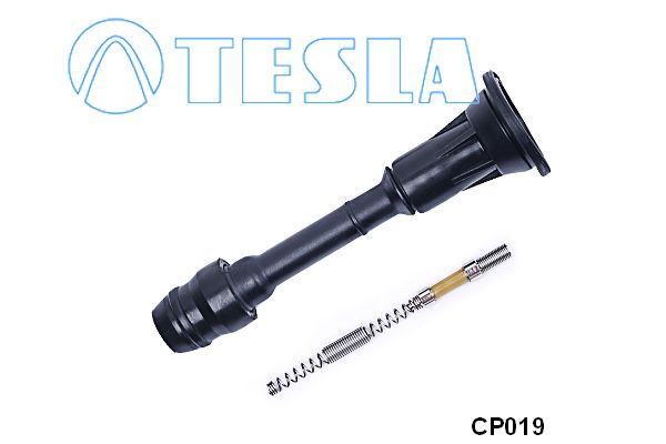 Cp019-tesla20191022-6771-1phdm8y_original