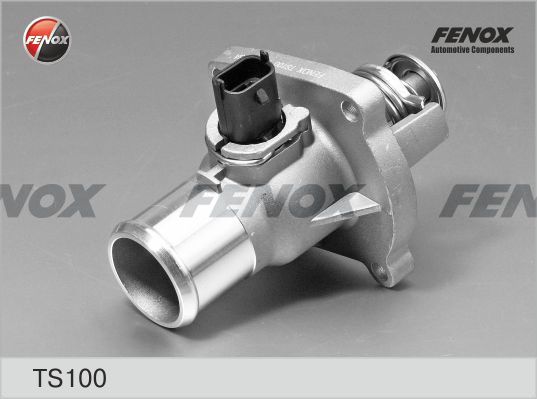 Ts100-fenox20200229-23120-1hw42hf_original