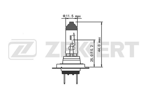 Lp1006-zekkert20200303-19460-13793aa_original