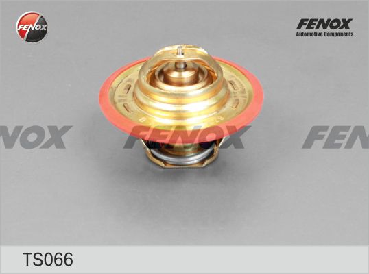 Ts066-fenox20200212-13575-1g5ew8j_original