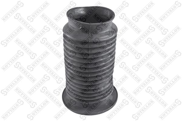 1117141sx-stellox20200227-467-1nkg7of_original