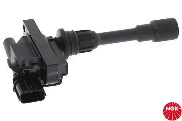 48208-ngk20200129-11548-86p1fz_original