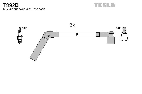 T892b-tesla20200129-11548-iwzgqg_original