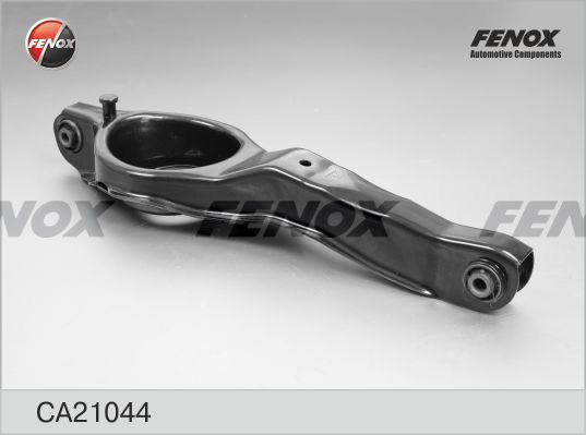 Ca21044-fenox20200302-19460-ywlttl_original