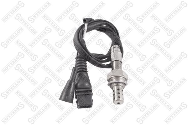 2000010sx-stellox20200130-11548-1msbrvi_original