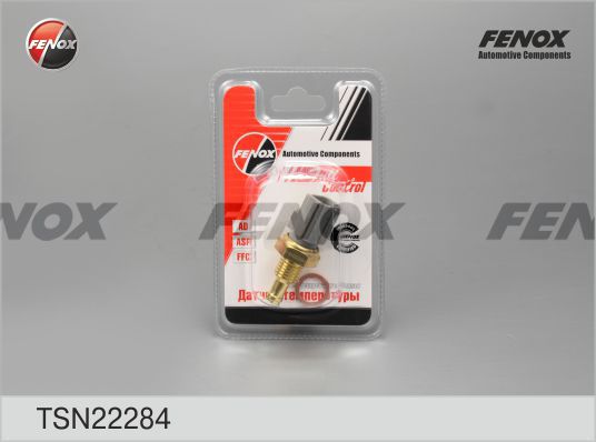 Tsn22284-fenox20200130-1016-1li0v91_original