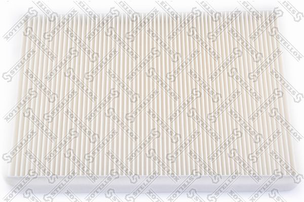 7110075sx-stellox20200201-8384-86hgn5_original