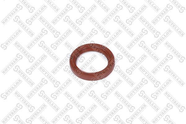 3400057sx-stellox20200303-19460-1yraboe_original