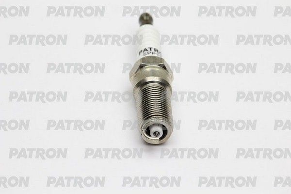 Spp111i-patron20200229-23120-9oa6am_original