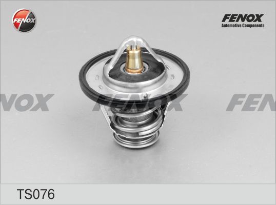 Ts076-fenox20200223-14760-1buaznd_original